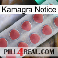 Kamagra Notice 18